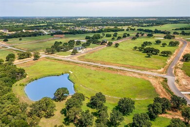 1028 Bluebonnet Ridge, Weatherford, TX 76087 - photo 4