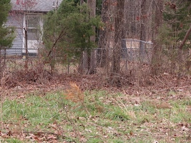 00 Maple Ave, Bull Shoals, AR 72619 - photo 6