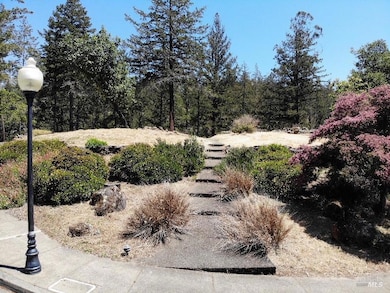 3829 Moss Hollow Ct, Santa Rosa, CA 95404 - photo 3