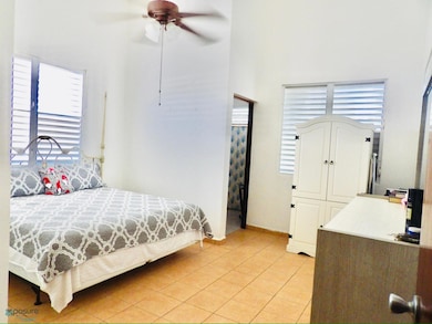 71 Bo Monte Grande Carr 310 #71 Cabo Rojo, Cabo Rojo, PR 00623 - photo 7