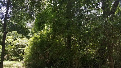 0 Cedar Ct, Huntsville, TX 77340 - photo 5