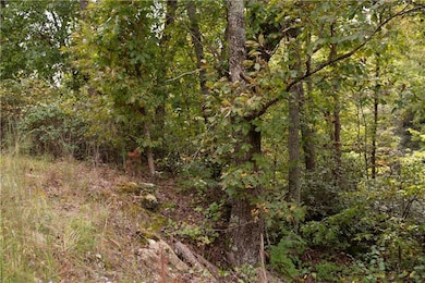 View of tree filled area