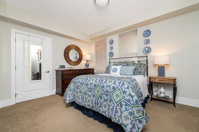 10 Saint George St unit 203, Boston, MA 02118 - photo 7