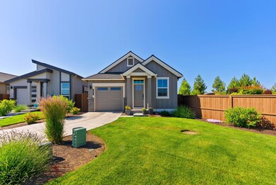 Great Frontyard