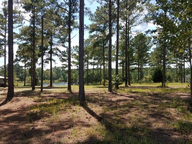 Mostly cleared lot, ready for occupancy