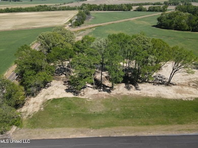 13 Como Trace Dr, Senatobia, MS 38668 - photo 3