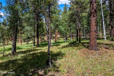 7 N1063, Greer, AZ 85927 - photo 5