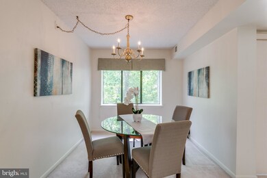 2210 Springwood Dr unit 107, Reston, VA 20191 - photo 7