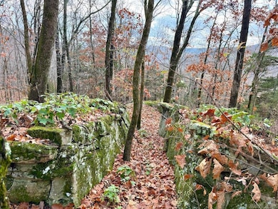 0 Cr 961 Rd unit 25047250, Green Forest, AR 72638 - photo 7