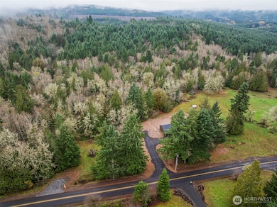 960 Paine Rd, Castle Rock, WA 98611 - photo 7