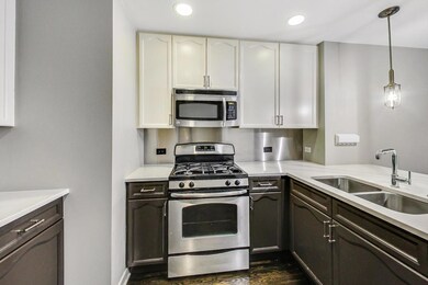 1515 N Wells St unit 4A, Chicago, IL 60610 - photo 5