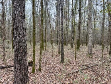 12 Acres Reed Rd, Starkville, MS 39759 - photo 5