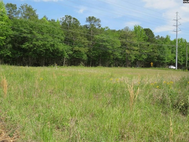 220 Cedarcrest Dr, Lexington, SC 29072 - photo 4