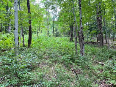 Lot 3 Tac Heights, Moretown, VT 05660 - photo 2