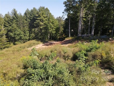 999999 Alexander Rd, Leicester, NC 28748 - photo 4