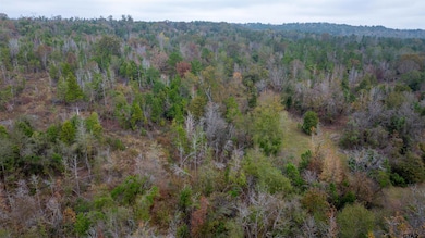 000 County Road 3272, Frankston, TX 75763 - photo 5