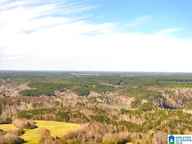 0 Lamon Chapel Rd unit 1/3 21415274, Jasper, AL 35503 - photo 4