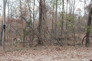 63 Flintridge Ct, Mountain Home, AR 72653 - photo 2