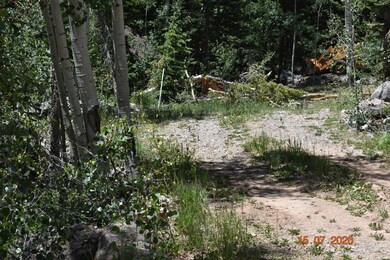 DSC_1081[1]
