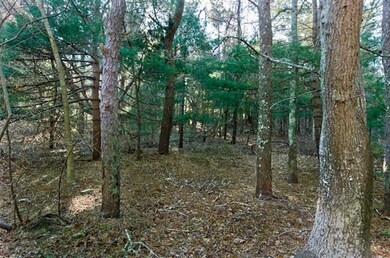 346 Edgartown Vh Rd, Edgartown, MA 02539 - photo 3