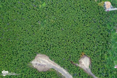Ariel View of Lot 2