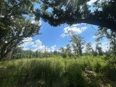 0 Creel Rd unit 23835353, Theodore, AL 36582 - photo 3