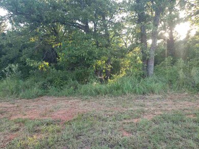Lot 9 Cole Creek Dr, Marlow, OK 73533 - photo 5