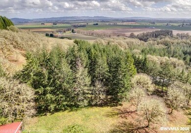 20980 SW Vineyard Ln, Mc Minnville, OR 97128 - photo 2