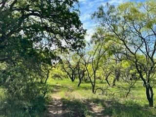 63 County Road 129, Brownwood, TX 76801 - photo 6