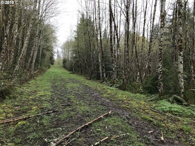 0 Robertson Rd unit 18230980, Longview, WA 98632 - photo 2