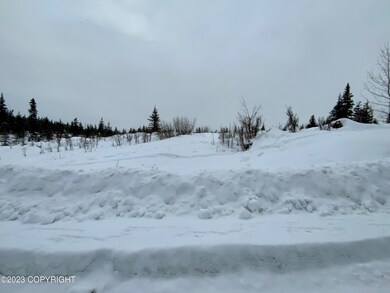 65687 Tomski Ave, Anchor Point, AK 99556 - photo 3