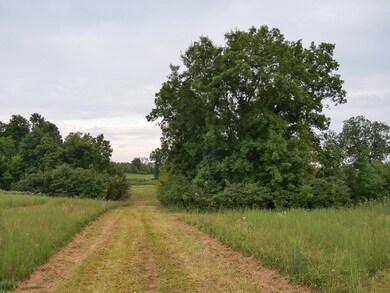 5062 Fords Mill Rd, Versailles, KY 40383 - photo 7