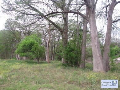 885 River Terrace, New Braunfels, TX 78130 - photo 3