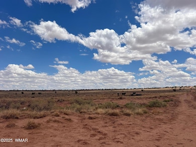 8400 N Terry Trail, Snowflake, AZ 85937 - photo 2