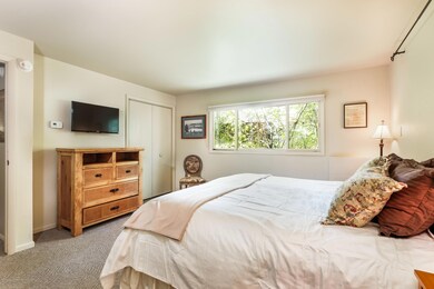 118 E Lupine Dr, Aspen, CO 81611 - photo 7