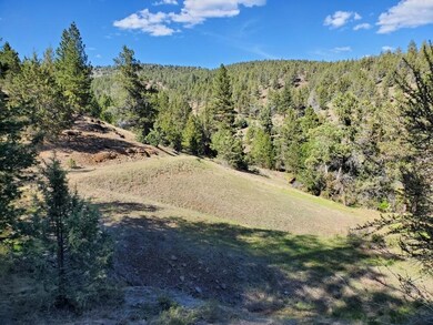 0 Wiley Creek Rd unit 2406 220202660, Mount Vernon, OR 97865 - photo 7