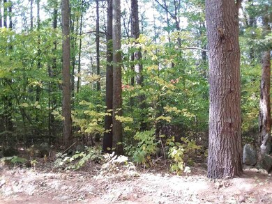 0 Fernwood Farms Rd unit 4830434, Canaan, NH 03741 - photo 2