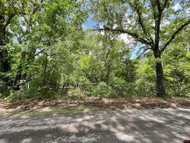 Lots 7 & 8 Deer Path Dr, Lakeview, AR 72642 - photo 3