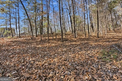 1166 Hunter Dr, Ranger, GA 30734 - photo 5