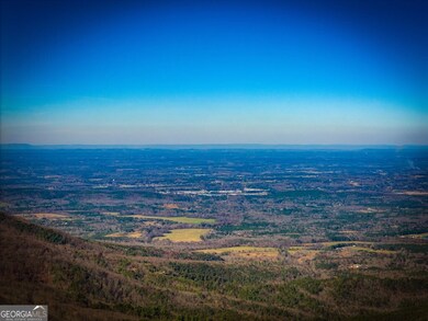 9323 Highway 52, Chatsworth, GA 30705 - photo 4