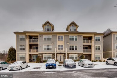 8807 Stone Ridge Cir unit 204, Pikesville, MD 21208 - photo 3