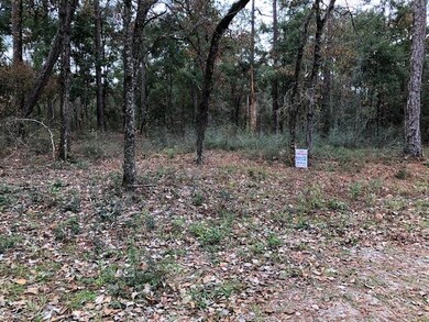 0 Eastgate Way, Crawfordville, FL 32327 - photo 6