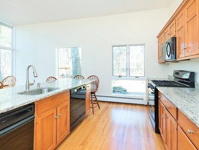 62 Beaver Pond Rd, Lincoln, MA 01773 - photo 7
