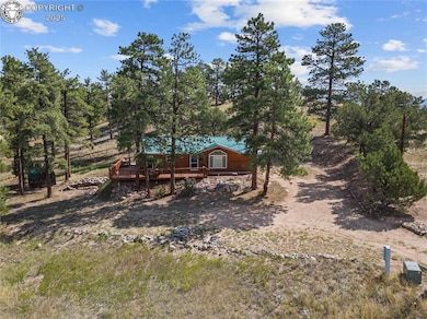 488 31st Trail, Cotopaxi, CO 81223 - photo 2
