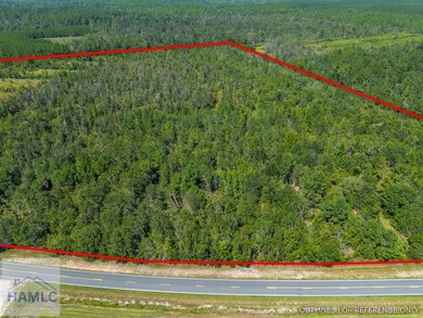 0 Old Surrency Rd unit 162811, Baxley, GA 31513 - photo 4