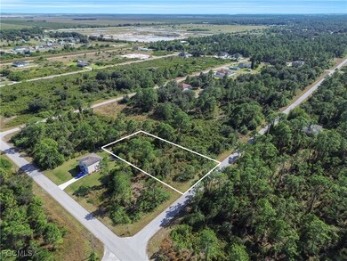Aerial overview of property's location featuring property parcel outlined and a heavily wooded area