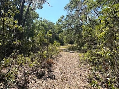 4140 S Kenvera Loop, Inverness, FL 34450 - photo 2