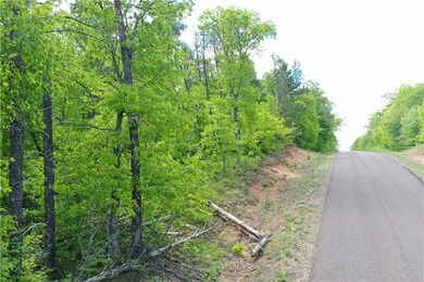 0 Otis Rd, Oakland, WI 54830 - photo 2