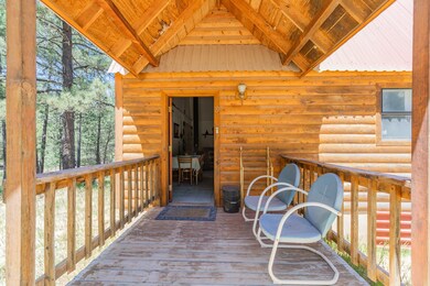 19 Will Scarlett, Mayhill, NM 88339 - photo 4