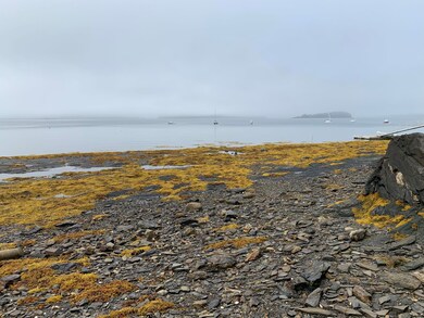 IMG_3592
